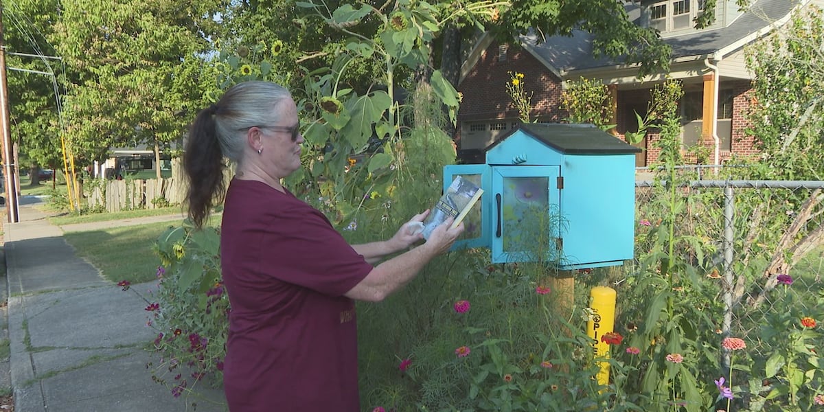 ‘It's just the principle of the thing': Driver empties Lexington woman's little free library