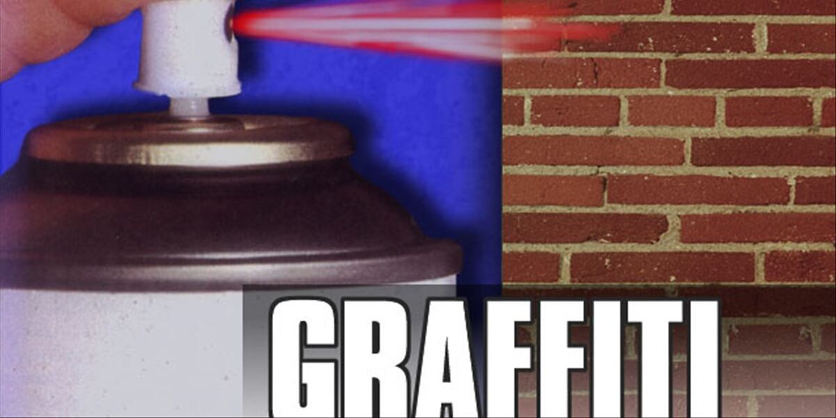 Park officials recommend banning spray paint sales to minors