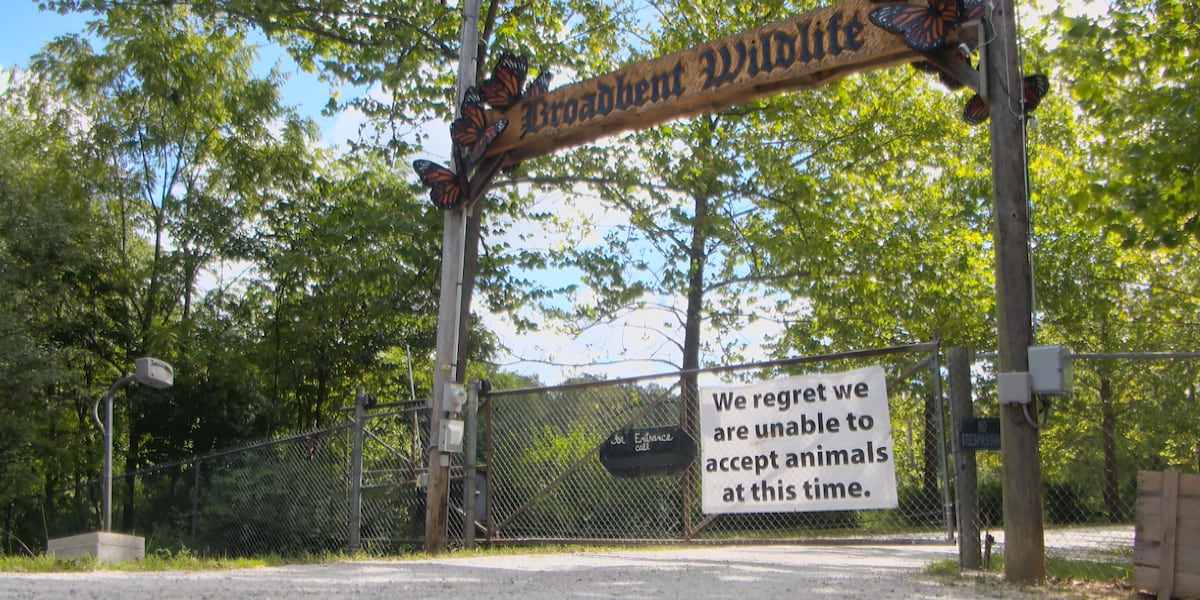 Wildlife rescue volunteers object to euthanization of 22 healthy fawns in Meade County