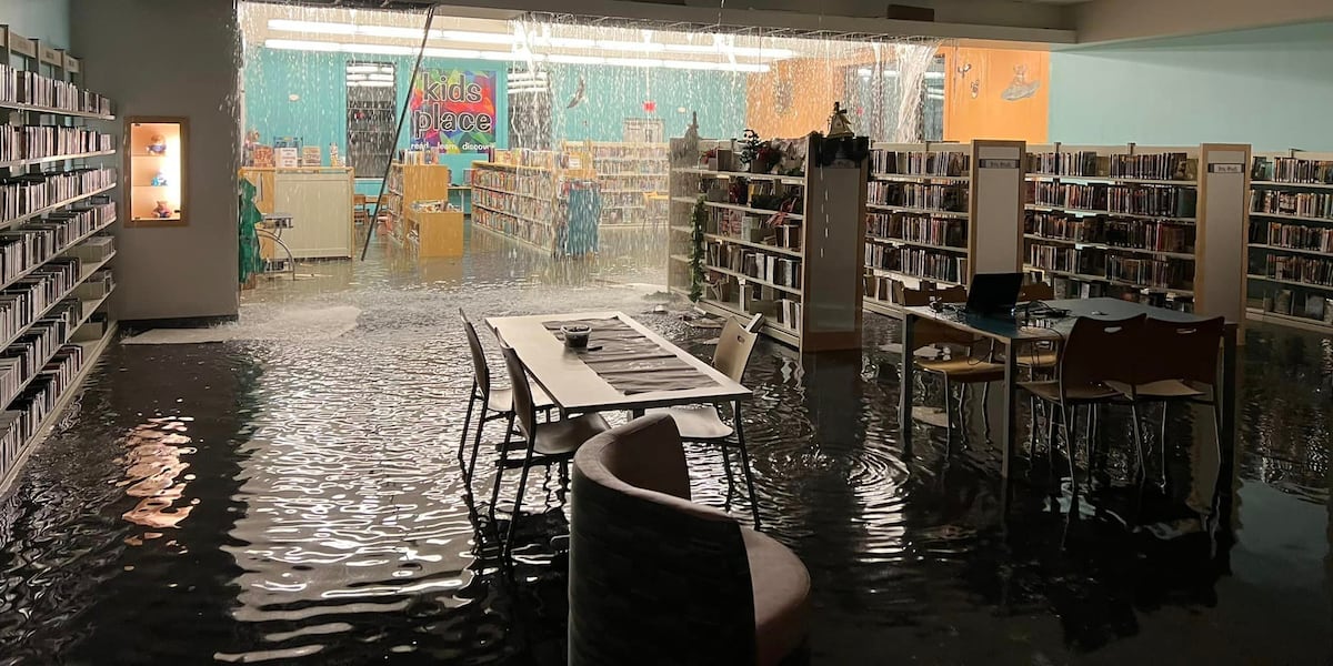 Wayne Co. Library flooded following water line burst, 3,000+ books damaged