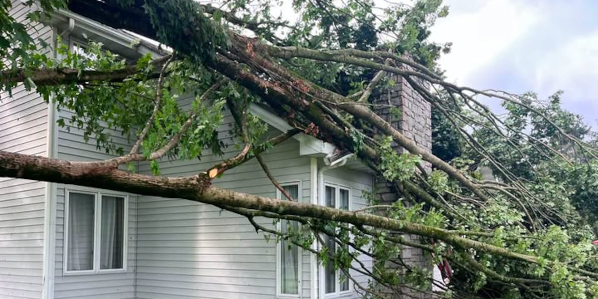 NWS surveys damage in Pulaski County