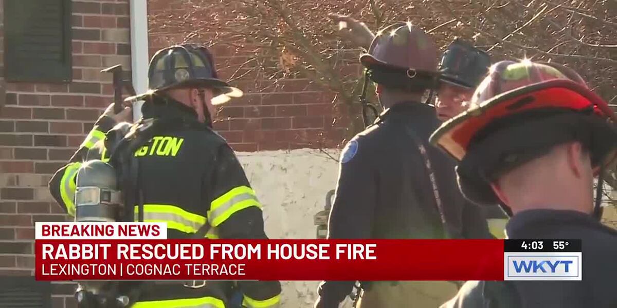 Rabbit rescued from Lexington house fire