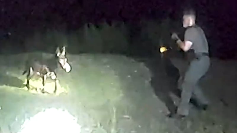 Body camera video has been released of a police shooting in August that killed a beloved pet...
