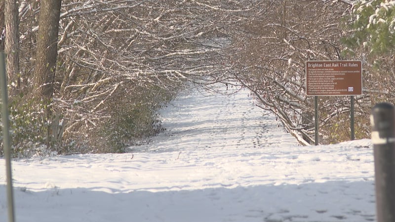 Snow day in Lexington