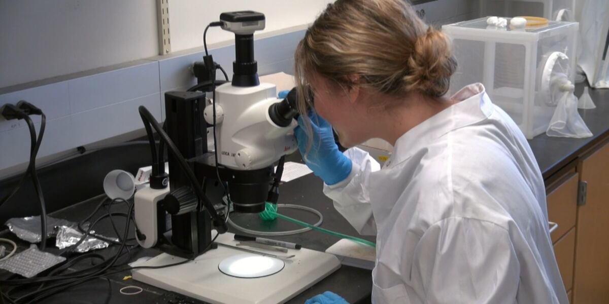 Lexington high school students discover new insect DNA sequence in ...