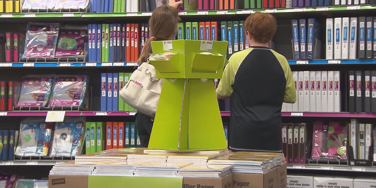 Back-to-school shopping costs strain family budgets, experts say
