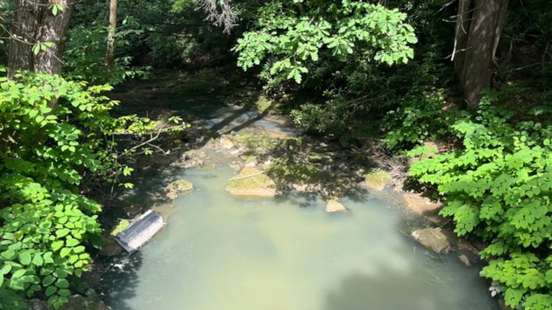 Mitchell Creek, Laurel County