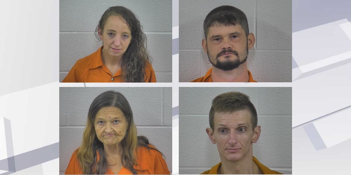 Laurel Co. narcotics investigation nets 4 arrests