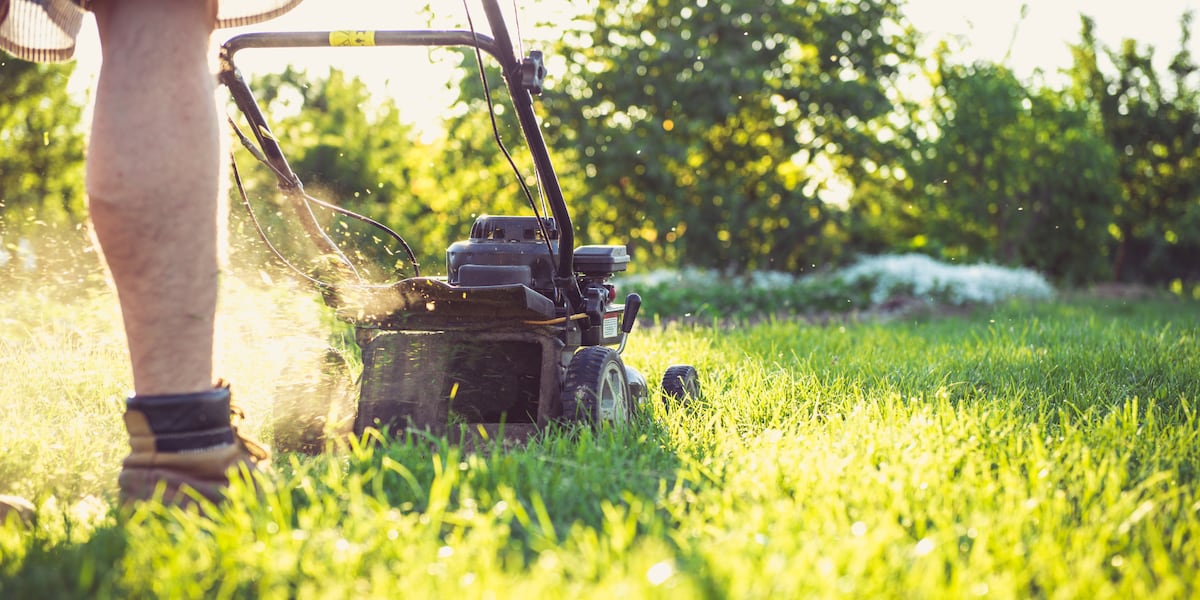 Kentucky’s wet summer keeping landscapers busy