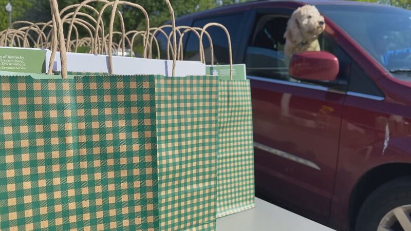 The Fayette County Extension Office handed out over 300 gardening kits on Saturday morning.