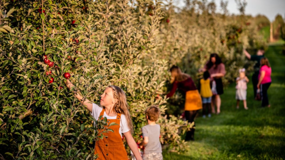 Woodford County Tourism