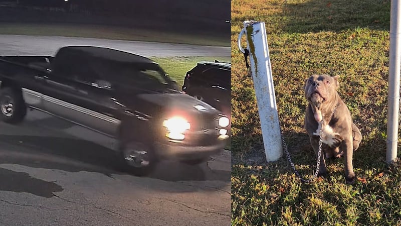 Kentucky animal shelter seeking information about person who abandoned dog at county fairgrounds