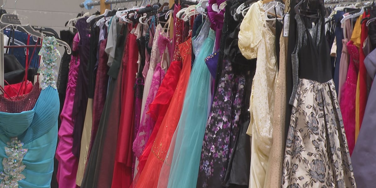 Stores Near Me Plaza Formal Dress Shops In The City True Me Boutique Visit Augustine Stores Near Me Plaza Formal Dress Shops In The City True Me Boutique Visit Augustine