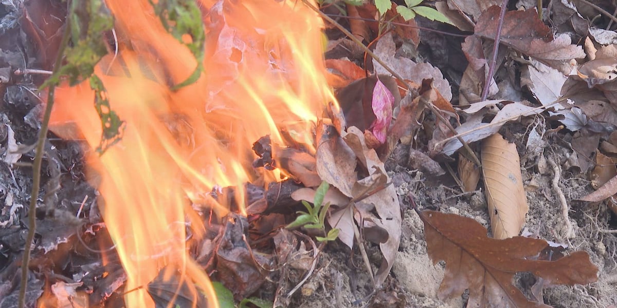 Spring fire hazard season is in full swing; what should you expect?