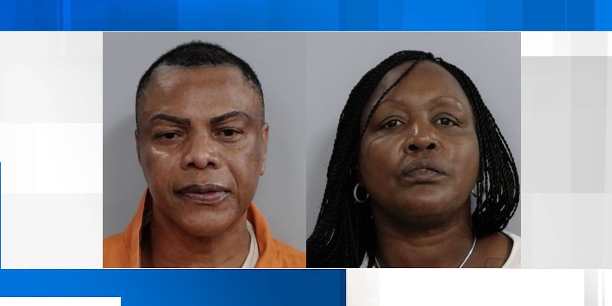 Two facing charges after police say they discover theft ring
