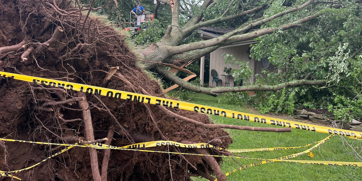 Trees hit homes causing damage but no injuries in Jessamine County