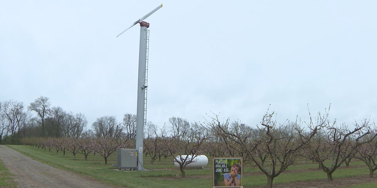 Орхидея Эккерта инвестирует в вентилятор от заморозков