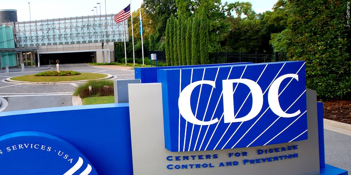 Cdc Riyadh CDC to expand disease surveillance at airports