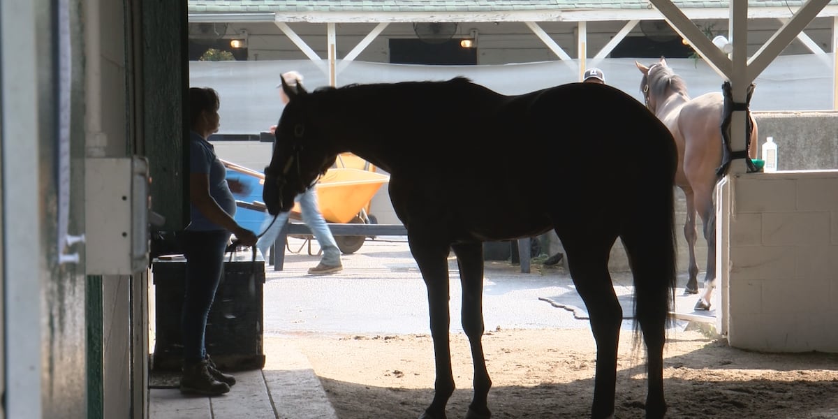 New Churchill Downs racing series announced to determine 3-year-old champion