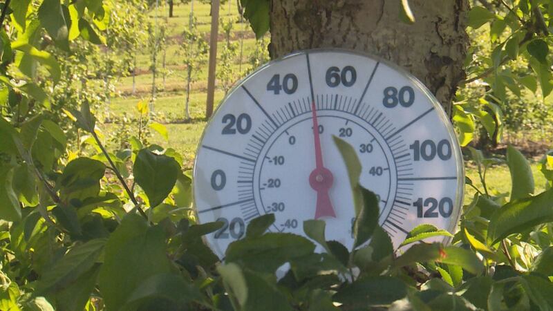 Evans Orchard was prepared for a devastating freeze, but temperatures stayed just warm enough.