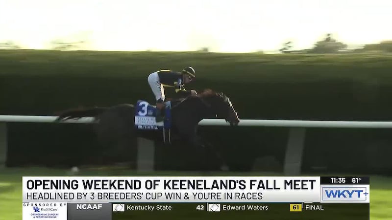 Rhetorical defends Turf Mile title to highlight Fall Stars Saturday at Keeneland