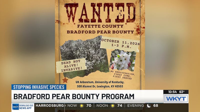 Megan Buland - Bradford Pear Bounty Program UK Arboretum