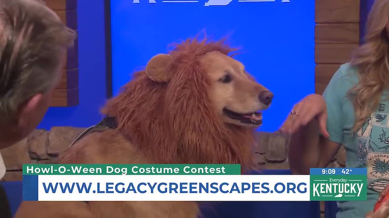 Lauren Mink, Anna Campomanes - Howl-O-Ween Dog Costume Contest