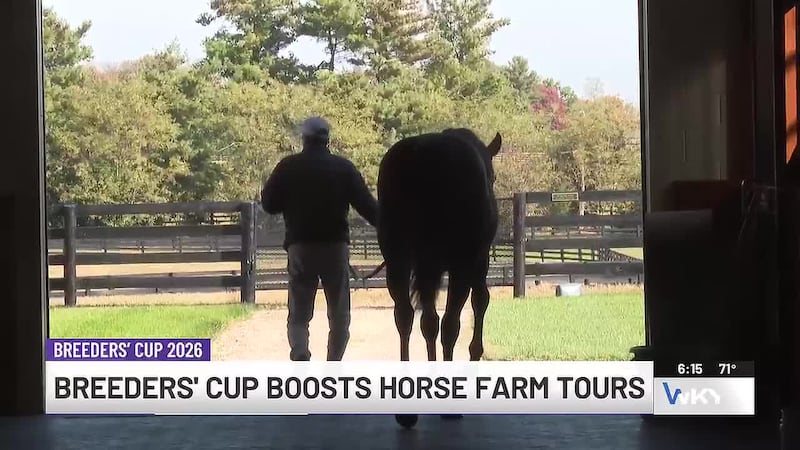 Breeders’ Cup at Keeneland doubles horse farm tourism in central Kentucky